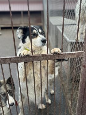 Новости православного Сормова