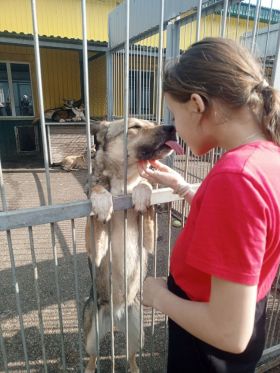 Новости Сормовского благочиния