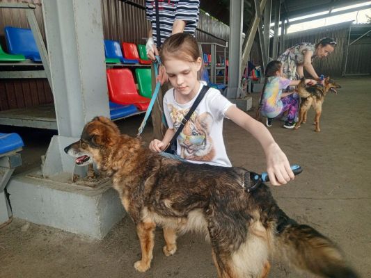 Новости Сормовского благочиния