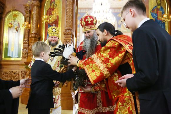 Мед колледж